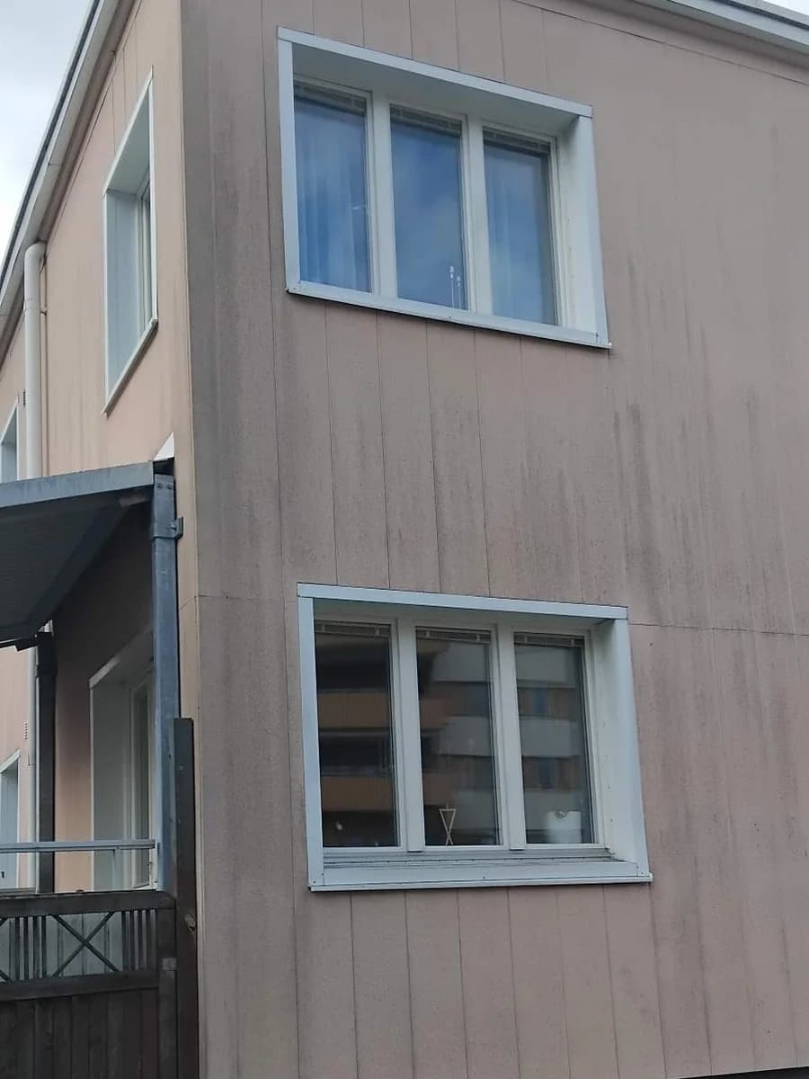 Rosa fasad med grov yta och mörka algstråk före tvätt
